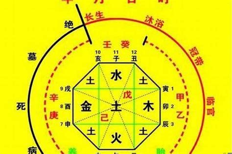 五行 命 格|生辰八字算命、五行喜用神查询（免费测算）